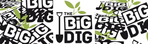 The Dennistoun Big Dig 2014